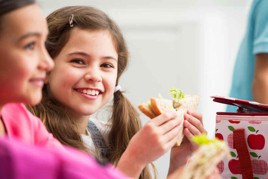 5 activités sur les lunchs écolos