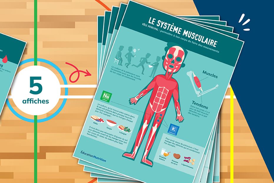 Affiches Les vitamines et minéraux : alliés du corps humain