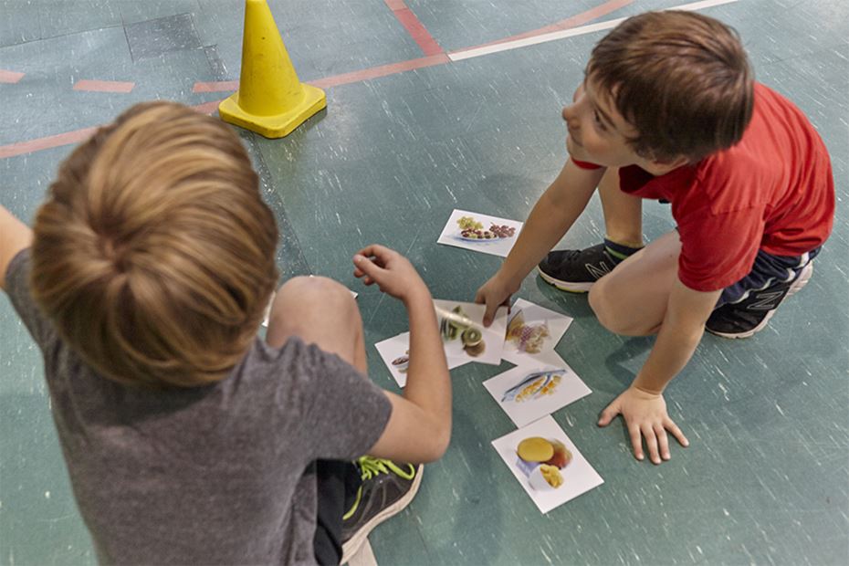 Jeu actif Qui es-tu? D’où viens-tu?  