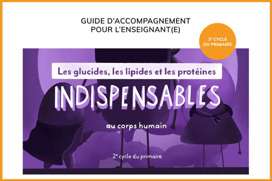Guide pour l’enseignant·e