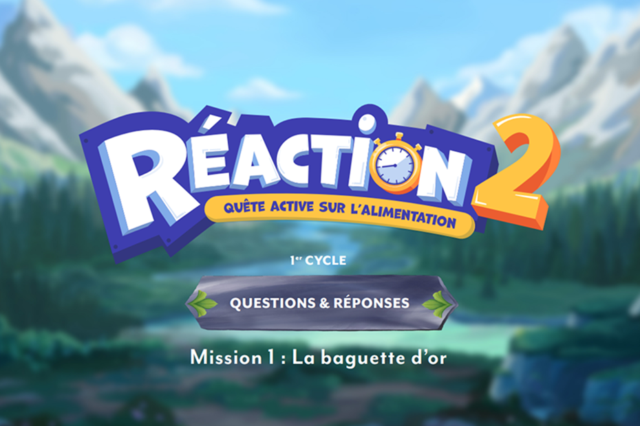 Réaction 2: Questions et réponses