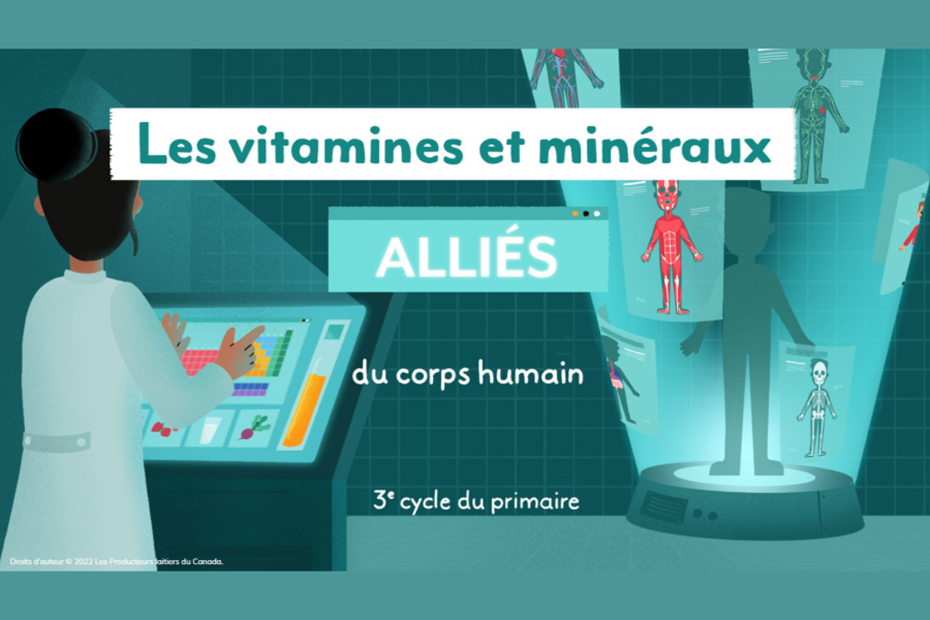 Les vitamines et minéraux : alliés du corps humain