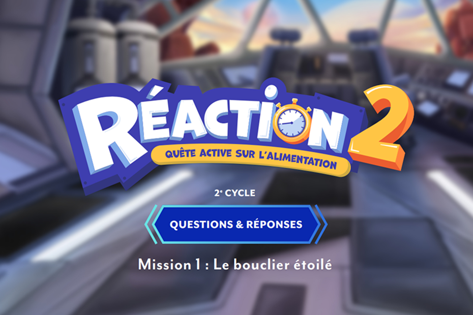 Réaction 2: Questions et réponses