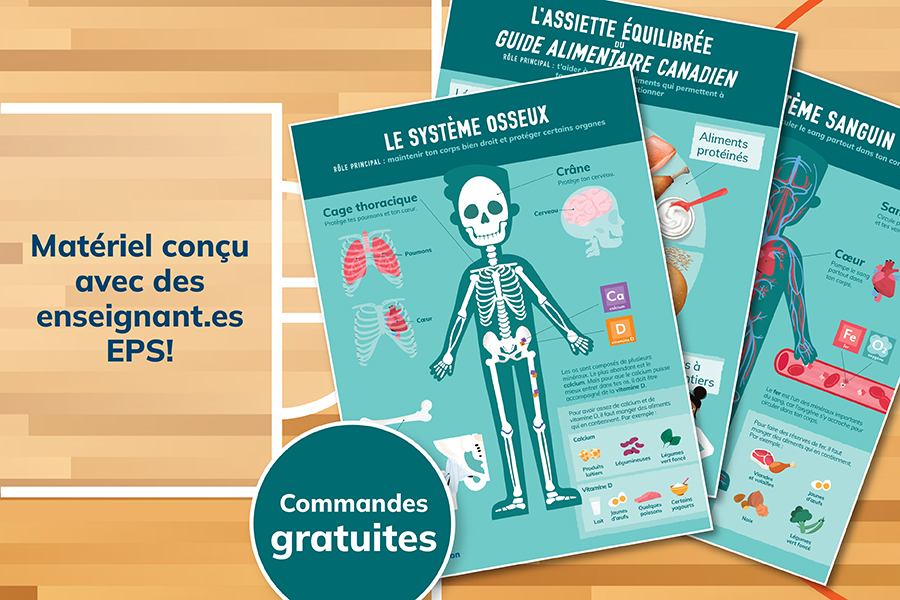 Affiches Les vitamines et minéraux : alliés du corps humain
