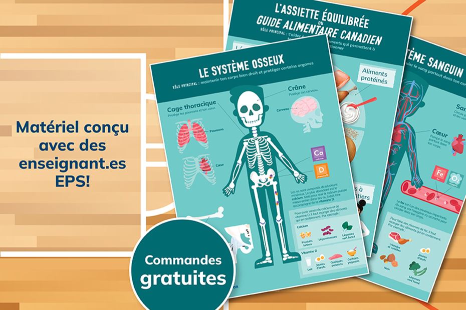 Affiches Les vitamines et minéraux : alliés du corps humain