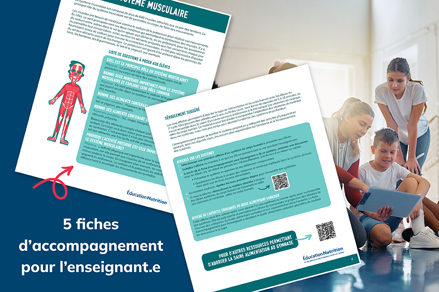 Fiches d’accompagnement pour les enseignant∙es